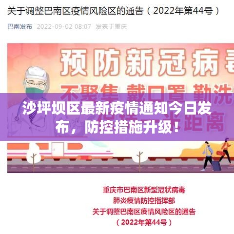 沙坪坝区最新疫情通知今日发布，防控措施升级！