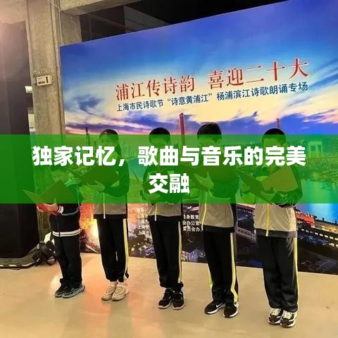 独家记忆，歌曲与音乐的完美交融