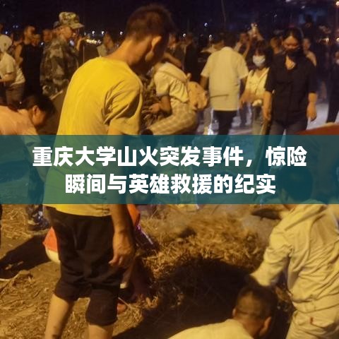 重庆大学山火突发事件，惊险瞬间与英雄救援的纪实
