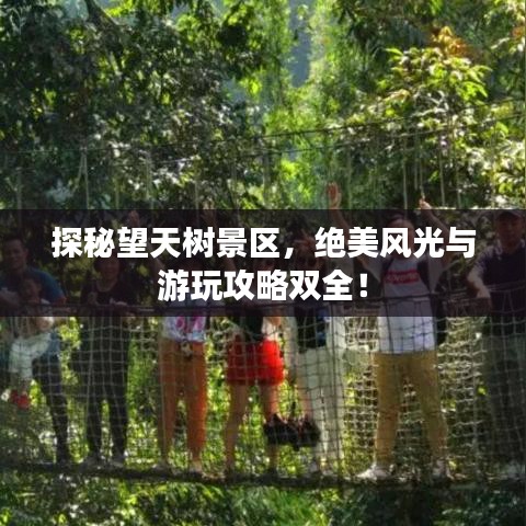 探秘望天树景区，绝美风光与游玩攻略双全！