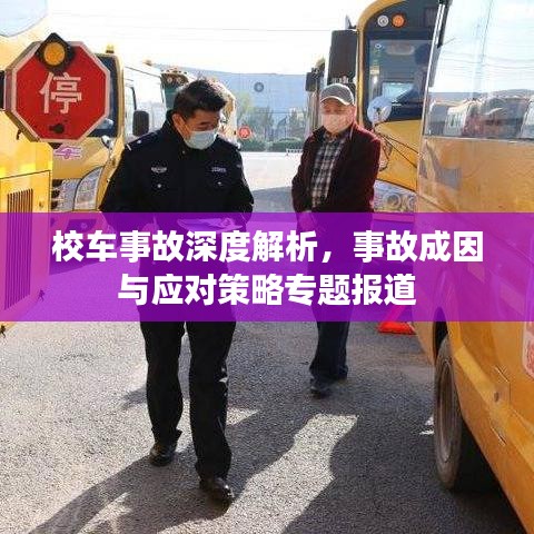 校车事故深度解析，事故成因与应对策略专题报道