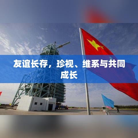 友谊长存，珍视、维系与共同成长