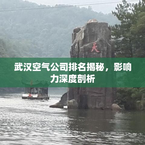 武汉空气公司排名揭秘，影响力深度剖析