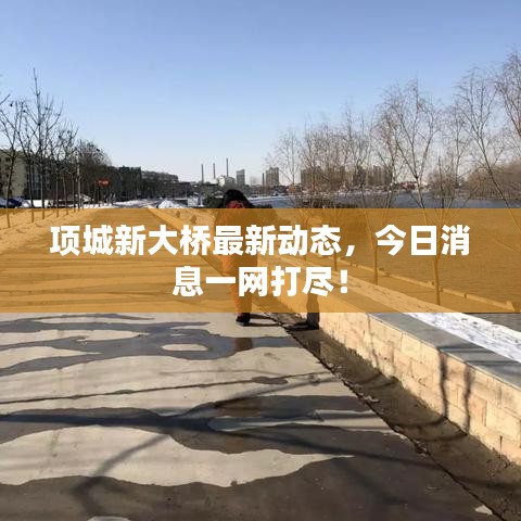 项城新大桥最新动态，今日消息一网打尽！