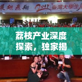 荔枝产业深度探索，独家揭秘荔枝产业的独特魅力