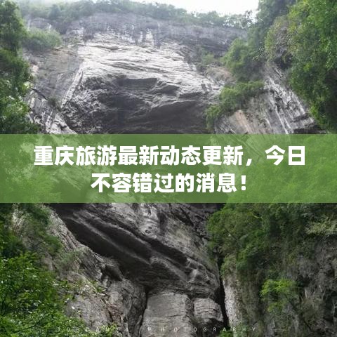 重庆旅游最新动态更新，今日不容错过的消息！