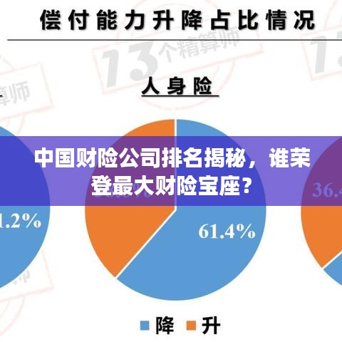 中国财险公司排名揭秘，谁荣登最大财险宝座？