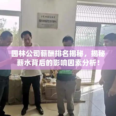 园林公司薪酬排名揭秘，揭秘薪水背后的影响因素分析！