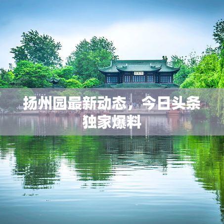 扬州园最新动态，今日头条独家爆料