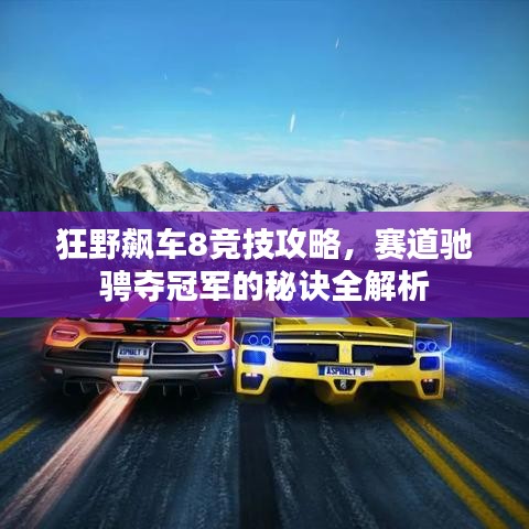 狂野飙车8竞技攻略，赛道驰骋夺冠军的秘诀全解析