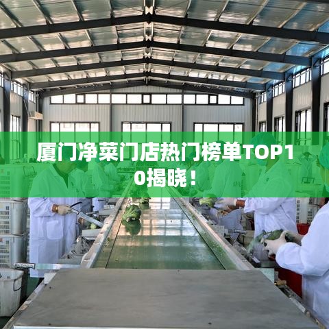 厦门净菜门店热门榜单TOP10揭晓！
