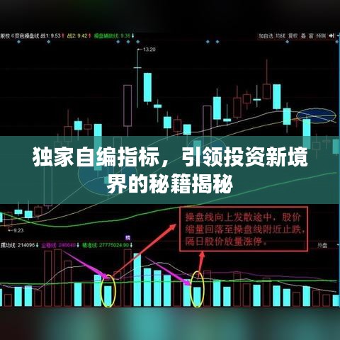 独家自编指标，引领投资新境界的秘籍揭秘