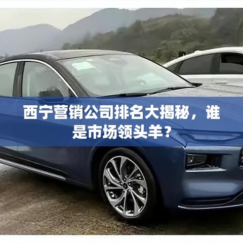 西宁营销公司排名大揭秘，谁是市场领头羊？