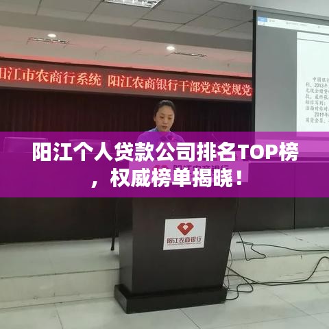 阳江个人贷款公司排名TOP榜，权威榜单揭晓！