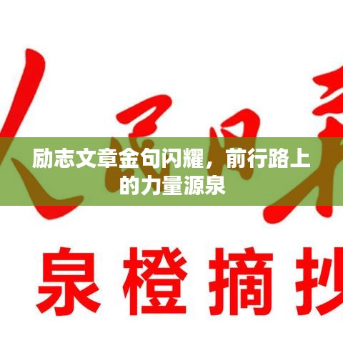 励志文章金句闪耀，前行路上的力量源泉