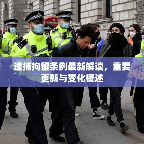 逮捕拘留条例最新解读，重要更新与变化概述