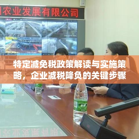 特定减免税政策解读与实施策略，企业减税降负的关键步骤