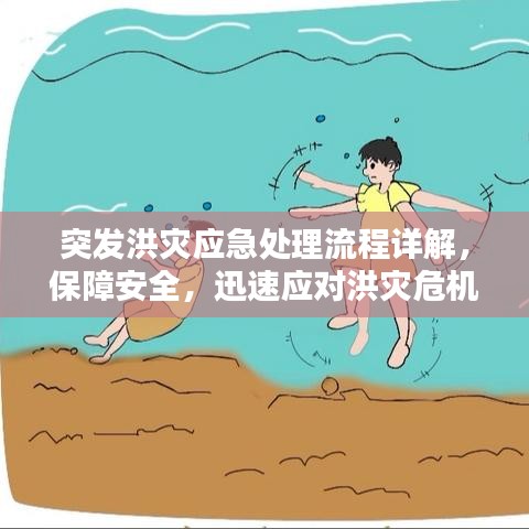 突发洪灾应急处理流程详解，保障安全，迅速应对洪灾危机！