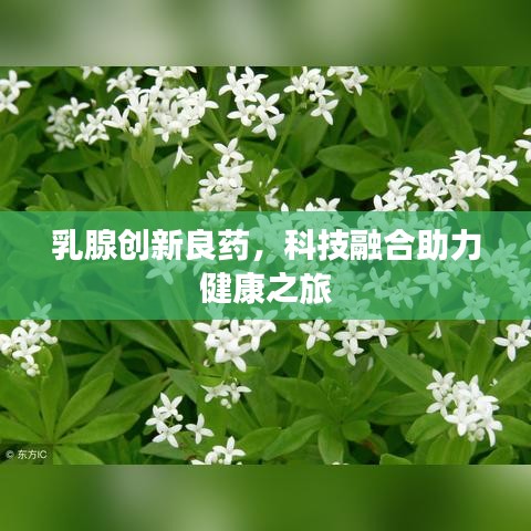 乳腺创新良药，科技融合助力健康之旅