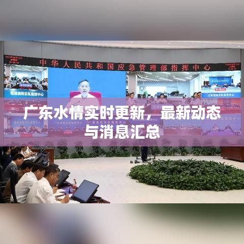 广东水情实时更新，最新动态与消息汇总