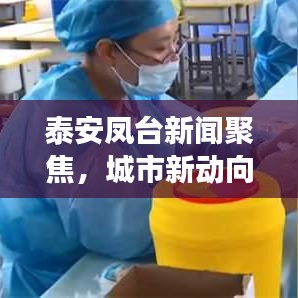 泰安凤台新闻聚焦，城市新动向与发展亮点揭秘