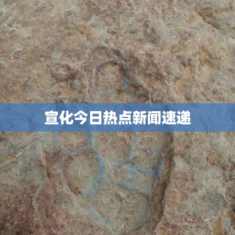 宣化今日热点新闻速递