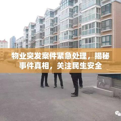 物业突发案件紧急处理，揭秘事件真相，关注民生安全