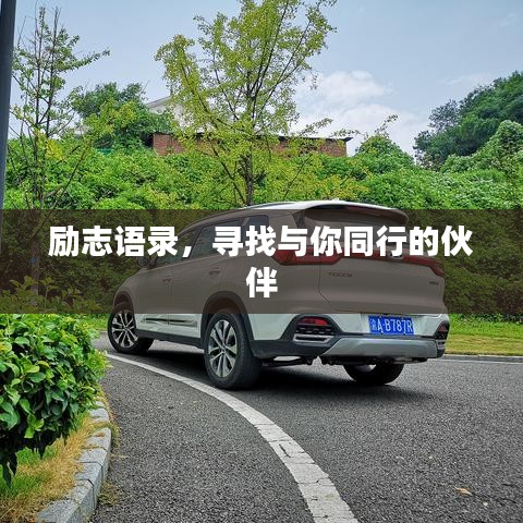 励志语录，寻找与你同行的伙伴