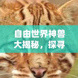 娇小玲珑 第2页