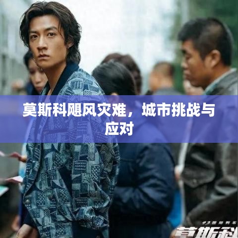 莫斯科飓风灾难，城市挑战与应对