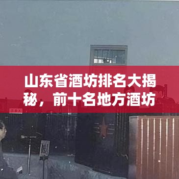 衣无二彩 第2页