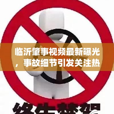临沂肇事视频最新曝光，事故细节引发关注热议