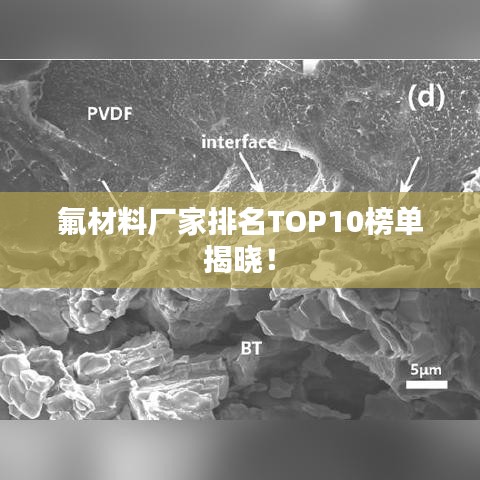 富贵功名 第2页