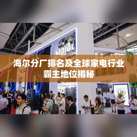 海尔分厂排名及全球家电行业霸主地位揭秘