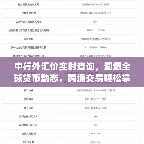 中行外汇价实时查询，洞悉全球货币动态，跨境交易轻松掌握