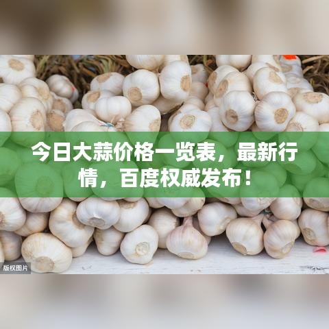今日大蒜价格一览表，最新行情，百度权威发布！