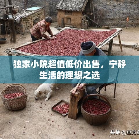 独家小院超值低价出售，宁静生活的理想之选