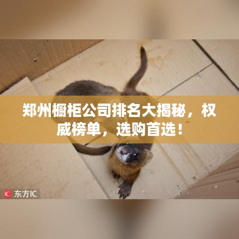 观往知来 第2页