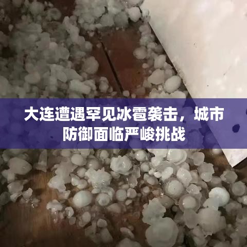 大连遭遇罕见冰雹袭击，城市防御面临严峻挑战