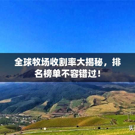全球牧场收割率大揭秘，排名榜单不容错过！