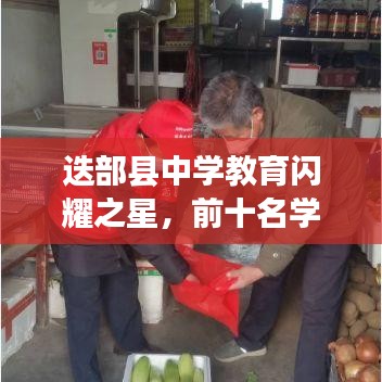 迭部县中学教育闪耀之星，前十名学校的辉煌成就