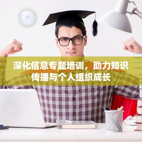 深化信息专题培训，助力知识传播与个人组织成长