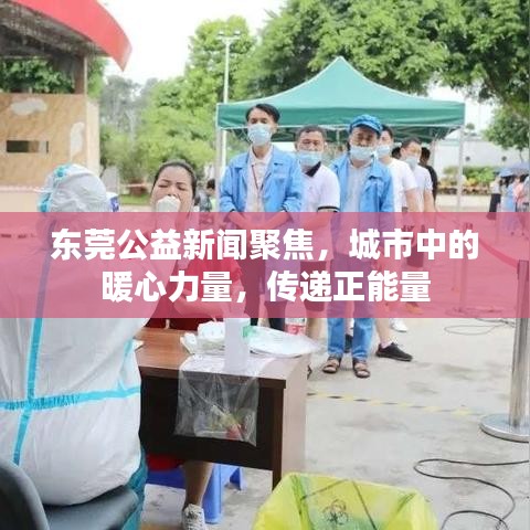 东莞公益新闻聚焦，城市中的暖心力量，传递正能量