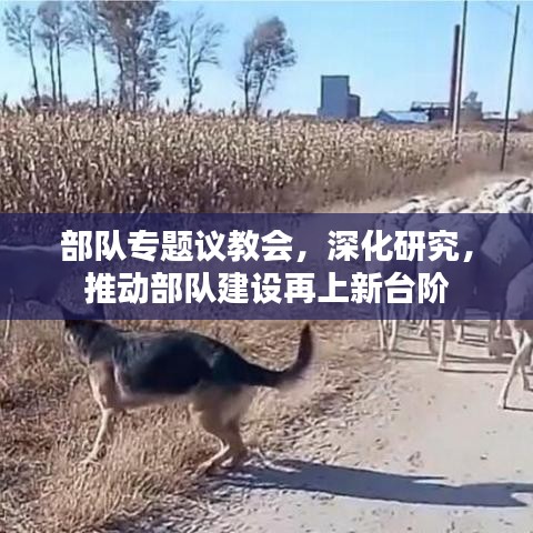 部队专题议教会，深化研究，推动部队建设再上新台阶