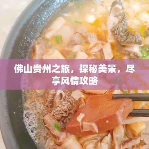 佛山贵州之旅，探秘美景，尽享风情攻略