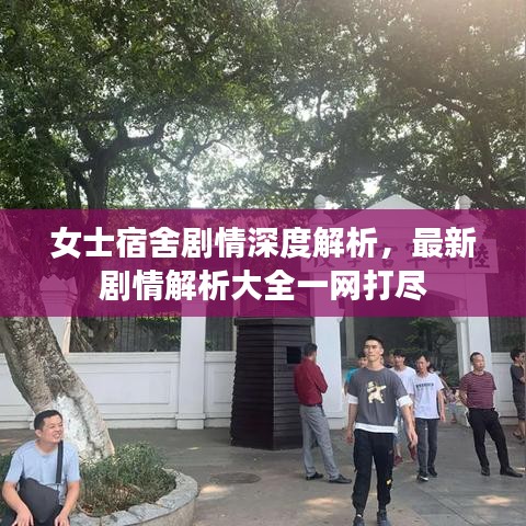 女士宿舍剧情深度解析，最新剧情解析大全一网打尽