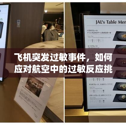 飞机突发过敏事件，如何应对航空中的过敏反应挑战