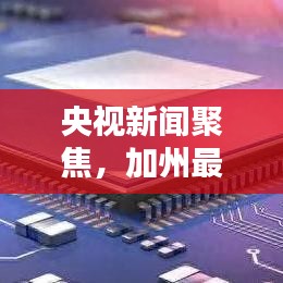 央视新闻聚焦，加州最新动态速递