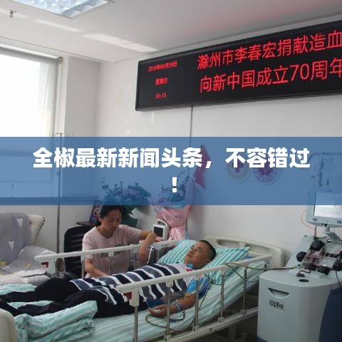 全椒最新新闻头条，不容错过！