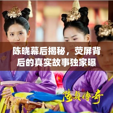 反正还淳 第2页